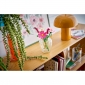 Конструктор LEGO Botanicals Квіти космеї - lebebe-boutique - 11