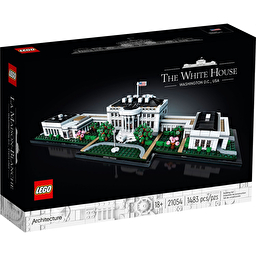 LEGO Конструктор Architecture Білий Дім 21054