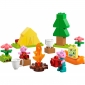 Конструктор LEGO DUPLO Peppa Pig Туристичний похід - lebebe-boutique - 4