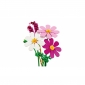 Конструктор LEGO Botanicals Квіти космеї - lebebe-boutique - 6