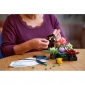 Конструктор LEGO Botanicals Сукуленти - lebebe-boutique - 4