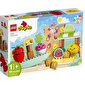 LEGO Конструктор DUPLO My First Органічний ринок - lebebe-boutique - 6