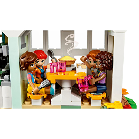 LEGO Конструктор Friends Будиночок Отом - lebebe-boutique - 6