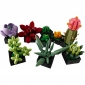 Конструктор LEGO Botanicals Сукуленти - lebebe-boutique - 3