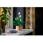 Конструктор LEGO Botanicals Спатифілум - lebebe-boutique - 9