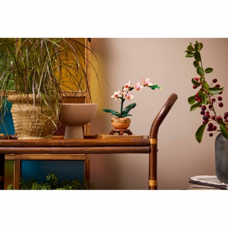 Конструктор LEGO Botanicals Міні орхідея - lebebe-boutique - 8