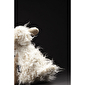 sigikid Вівця (40 см) - lebebe-boutique - 8