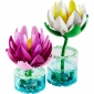 Конструктор LEGO Botanicals Латаття - lebebe-boutique - 9