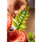 Конструктор LEGO Botanicals Лісові гриби - lebebe-boutique - 10