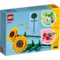 LEGO Конструктор Iconic Соняшники - lebebe-boutique - 2