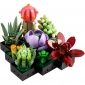 Конструктор LEGO Botanicals Сукуленти - lebebe-boutique - 2