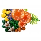 Конструктор LEGO Botanicals Лісові гриби - lebebe-boutique - 7