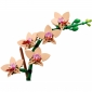 Конструктор LEGO Botanicals Міні орхідея - lebebe-boutique - 10