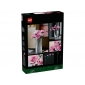 Конструктор LEGO Botanicals Букет рожевих троянд - lebebe-boutique - 11