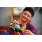 Конструктор LEGO Botanicals Сукуленти - lebebe-boutique - 6