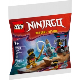 Конструктор LEGO recruitment Ninjago Арін проти Дракона: Битва