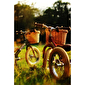 Велосипедна плетена корзинка з шкіряними ременями для Trybike - lebebe-boutique - 9