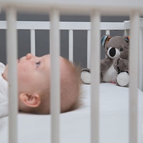 М'яка іграшка з білим шумом, яка заспокоює новонародженої дитини COCO (Коала) Zazu - lebebe-boutique - 3