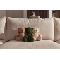 М’яка іграшка Jollein Teddy Bear, натуральна - lebebe-boutique - 4