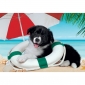 Пазл Clementoni "Sunny Beach", 104 элемента - lebebe-boutique - 2