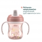 Набор посуды "Set Prima Pappa" 6м+, кол.15 - lebebe-boutique - 2