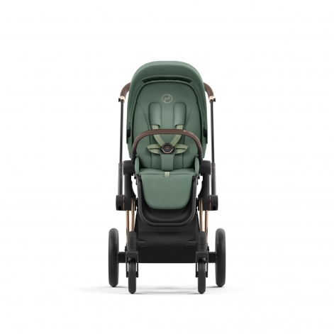 Чехол тканевый для прогулочного блока Priam Leaf Green - lebebe-boutique - 3