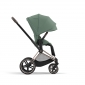 Чехол тканевый для прогулочного блока Priam Leaf Green - lebebe-boutique - 6