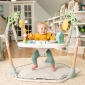 Центр ігровий розвиваючий 6 в 1  "Tummy to Toes™" Ingenuity™ - lebebe-boutique - 5