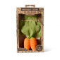 Мінікомфортер-прорізувач Oli & Carol Cathy the Carrot - lebebe-boutique - 4