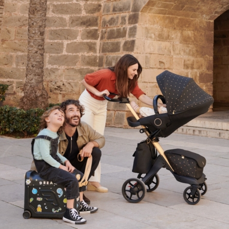 Прогулочная коляска Stokke Xplory X Signature Special Edition - lebebe-boutique - 11