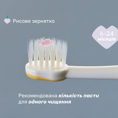 Зубна щітка Chicco для перших зубів, 6-36 міс., 2 шт. - lebebe-boutique - 4