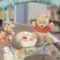 Шезлонг Bright Starts Winnie The Pooh Dots & Hunny Pots - lebebe-boutique - 5